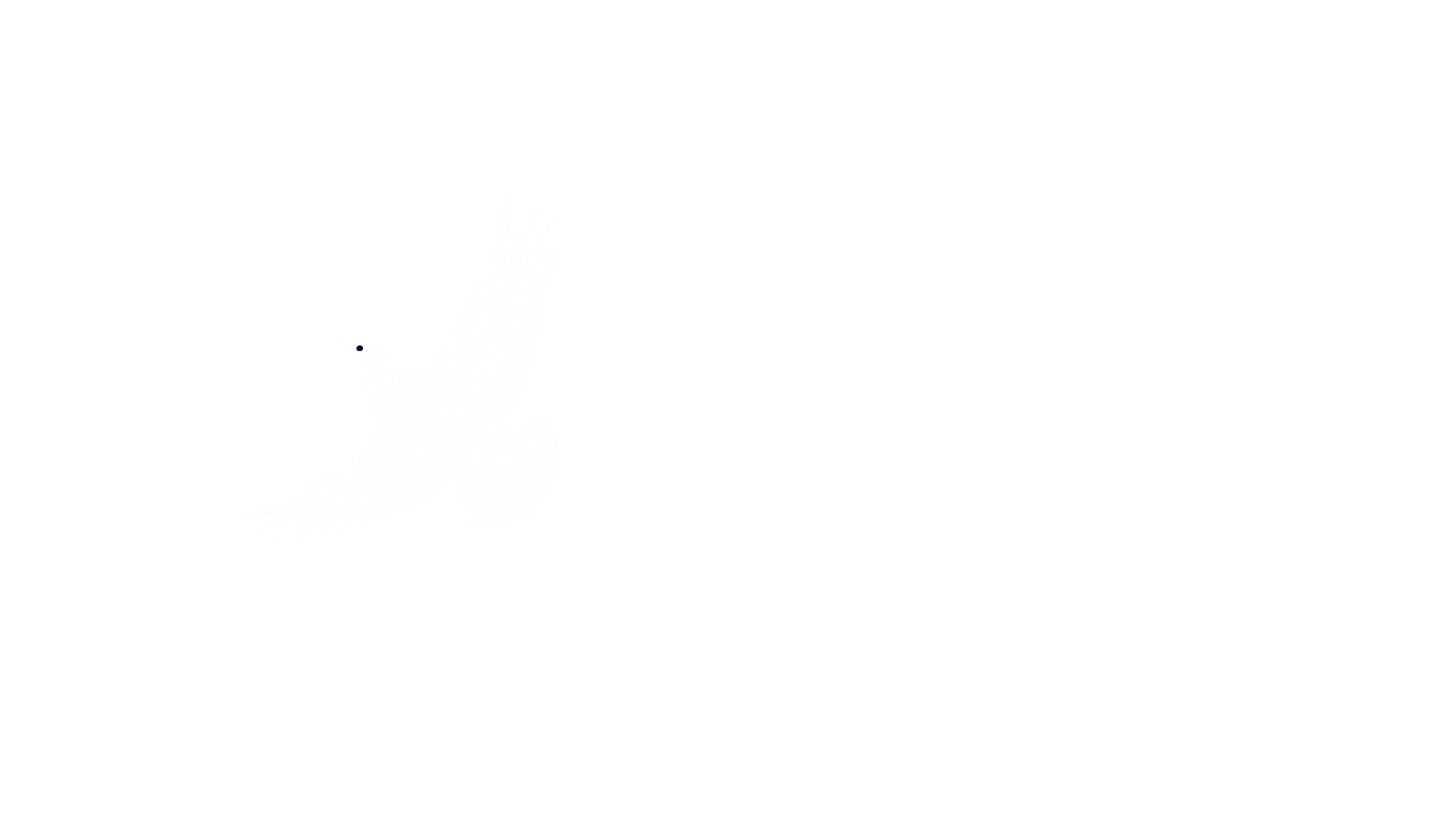 Perdix